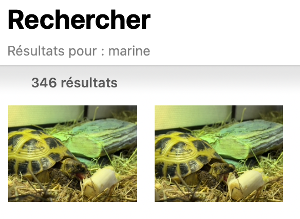 Oublie pas les vignettes